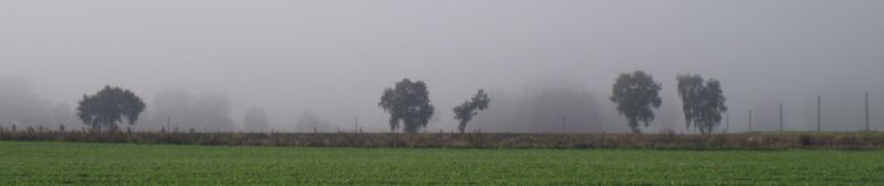 nebel