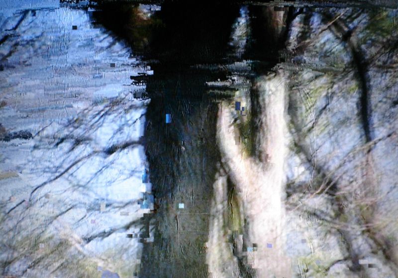 12baum